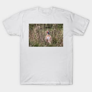 Pheasant in Long Grass T-Shirt